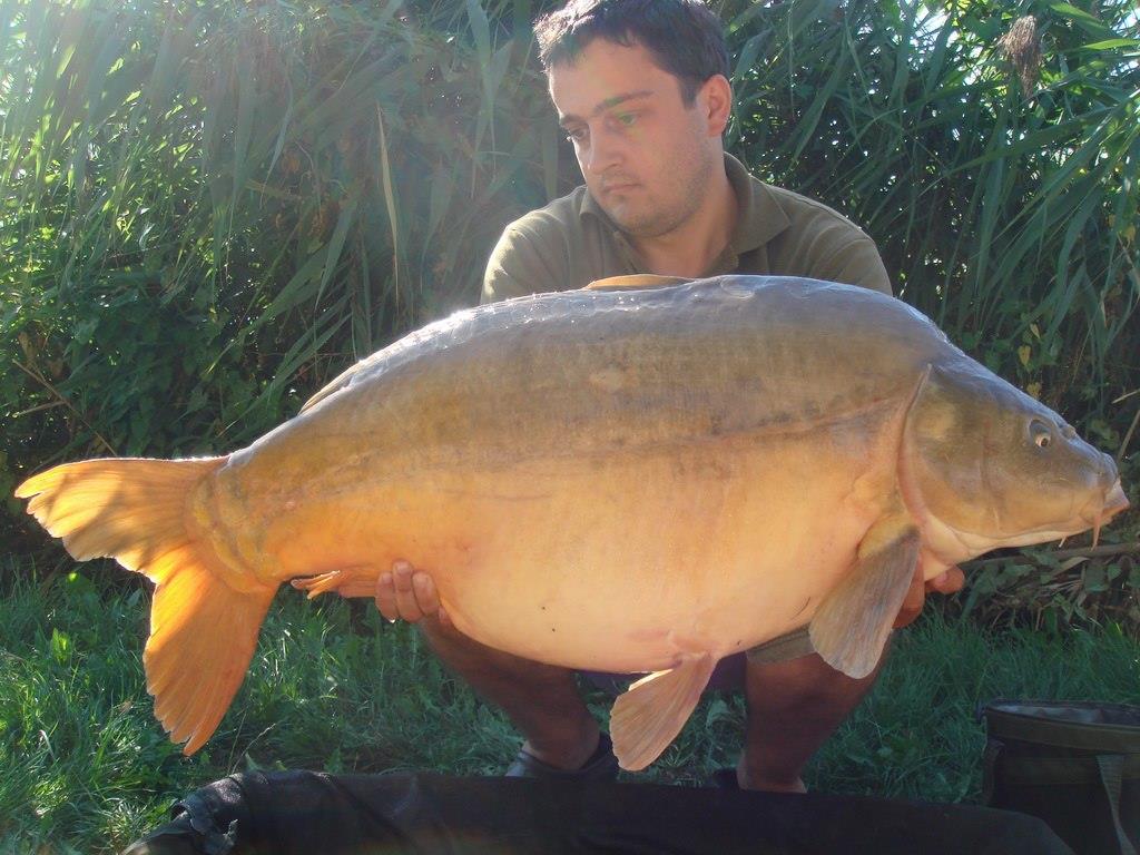 Nagykallo 2012 - 12.jpg